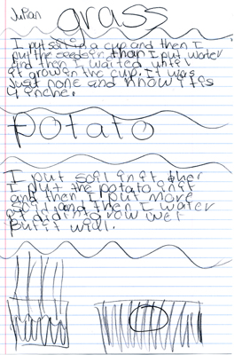 I put soil in a cup and then I put the seeds in.